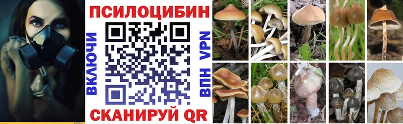 ОМГ ОМГ вход  Аткарск  Галлюциногенные грибы MAGIC MUSHROOMS 